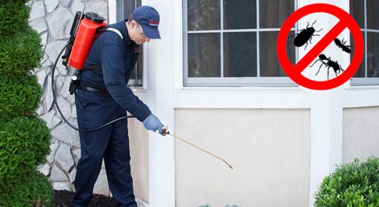 Kızılırmak Kene İlaçlama böcek ilaçlama ve haşere kontrolü — ilaclama-tr.com